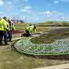 Blyth Beach Carpet Bedding