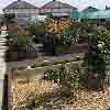 Blyth in Bloom 2018