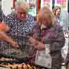 Blyth Town Fair 2015