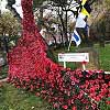 Poppy Sculpture