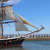 Tall Ships 2016