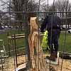 Tree Carving