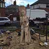 Tree Carving