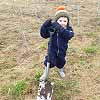 Tree Planting 2