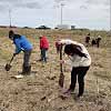 Tree Planting 1