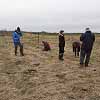 Tree Planting 1