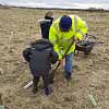 Tree Planting 1