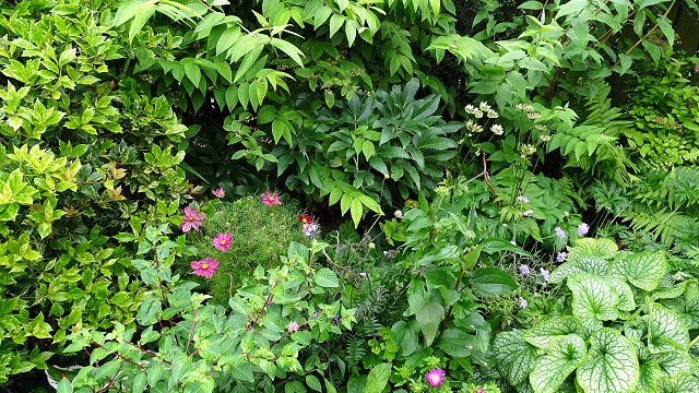 dsc02289