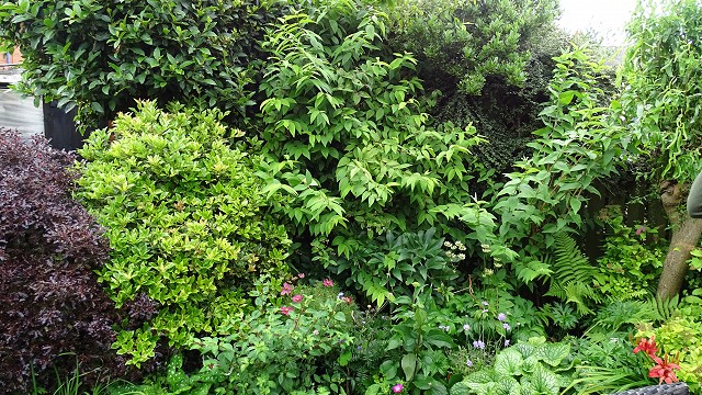 dsc02290