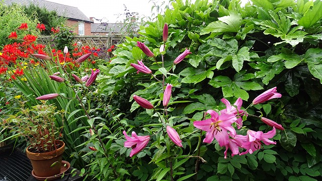 dsc02310