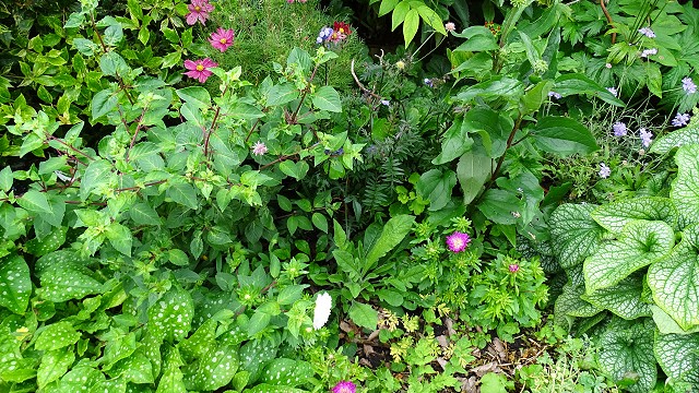 dsc02315