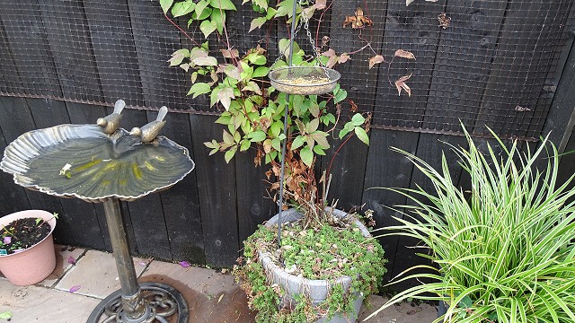 dsc02349