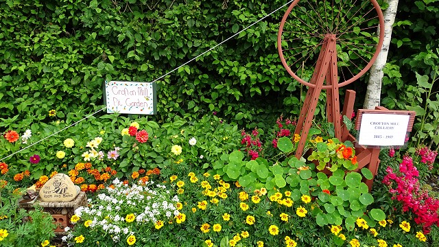 dsc02435