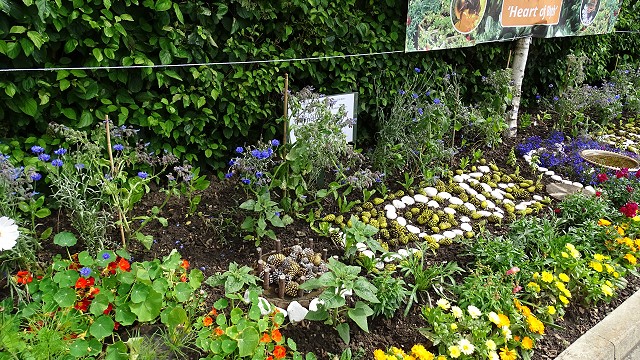 dsc02444