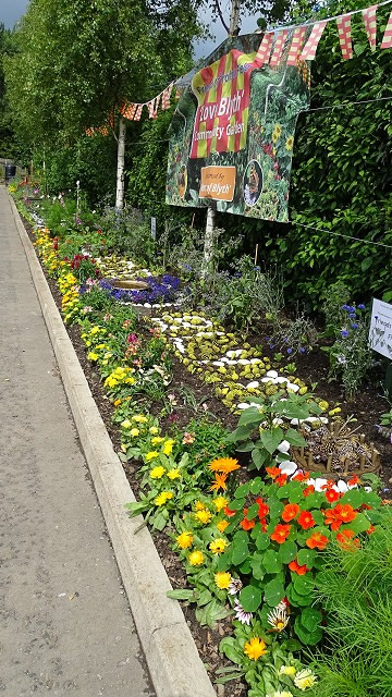 dsc02449