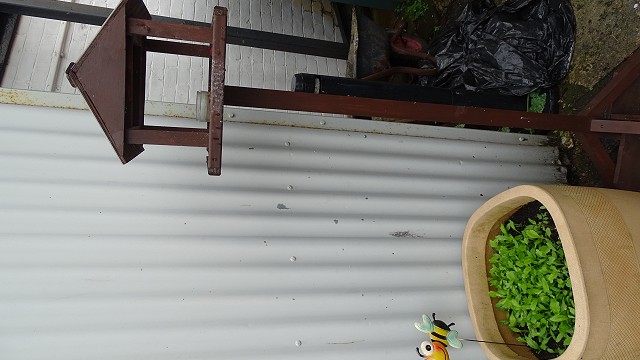 dsc02513