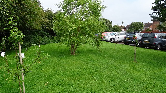 dsc02531