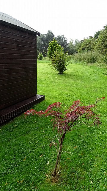dsc02533