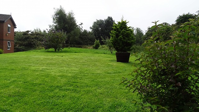 dsc02534