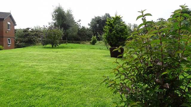 dsc02535