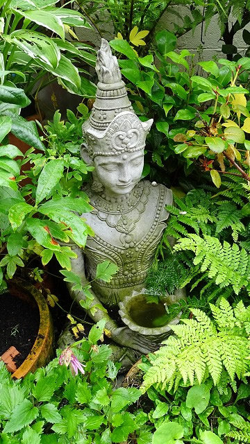 dsc02562