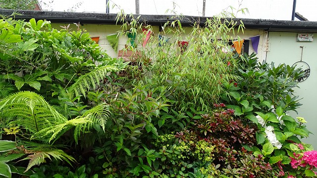 dsc02563