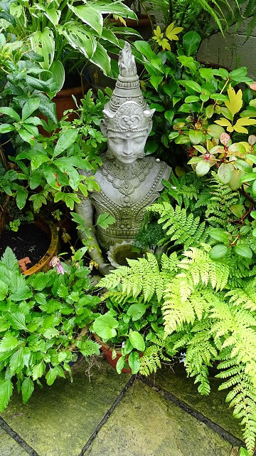 dsc02565