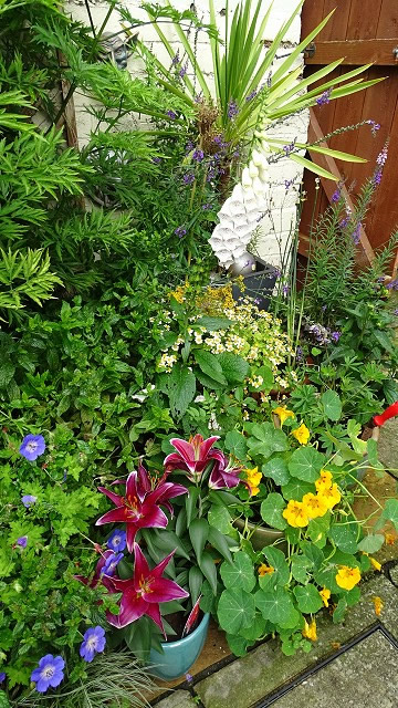 dsc02570