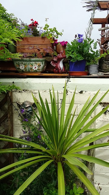 dsc02573