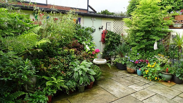 dsc02575