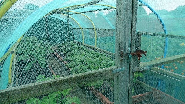 dsc02588