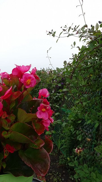 dsc02597