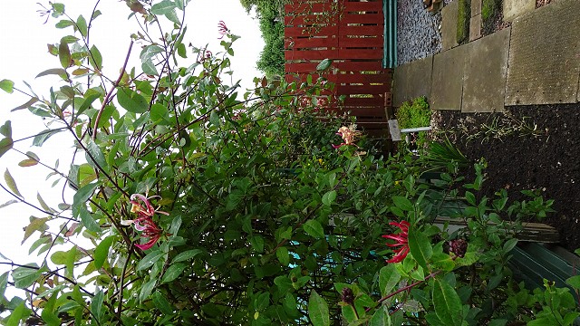 dsc02600