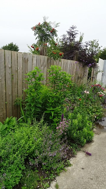 dsc02645
