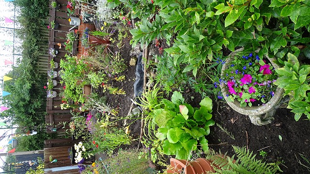 dsc02659