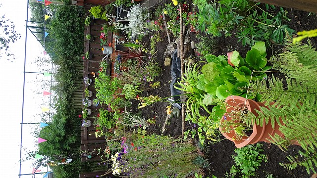 dsc02660