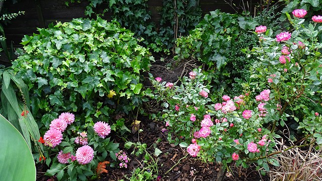 dsc02716