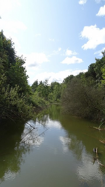 dsc02728