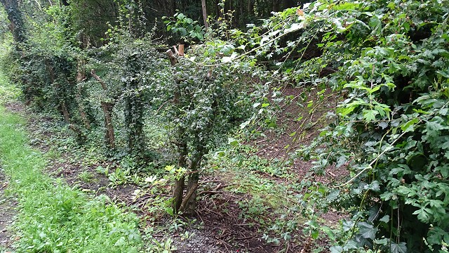 dsc02740