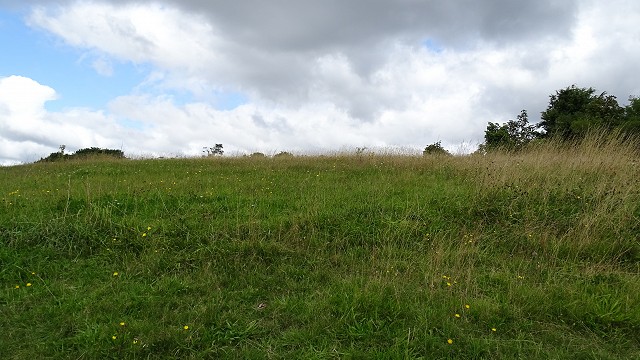dsc02743