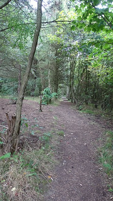 dsc02749