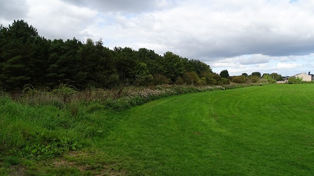 dsc02751