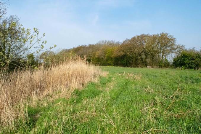Have Your Say on the Future of Blyth