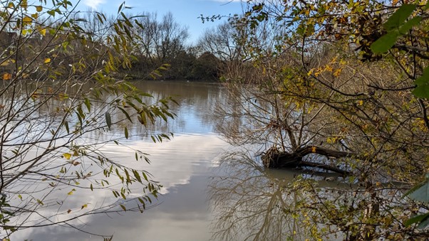 Newsham Pond