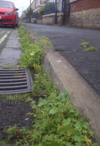 Northumberland County Council Intensifies Efforts to Combat Weeds in Blyth